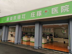 向“供”而行，解“銷”困惑——全國供銷社代表在紹興物資供銷的現場見聞